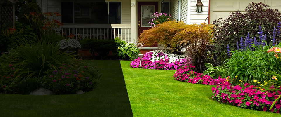 La Mirada Landscapers