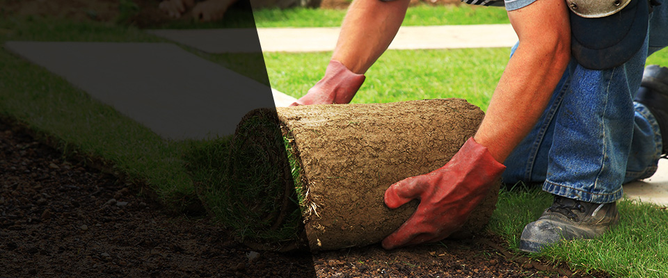 La Mirada Landscapers